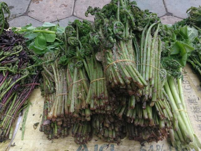 吉林之行，大学时代新篇章开启